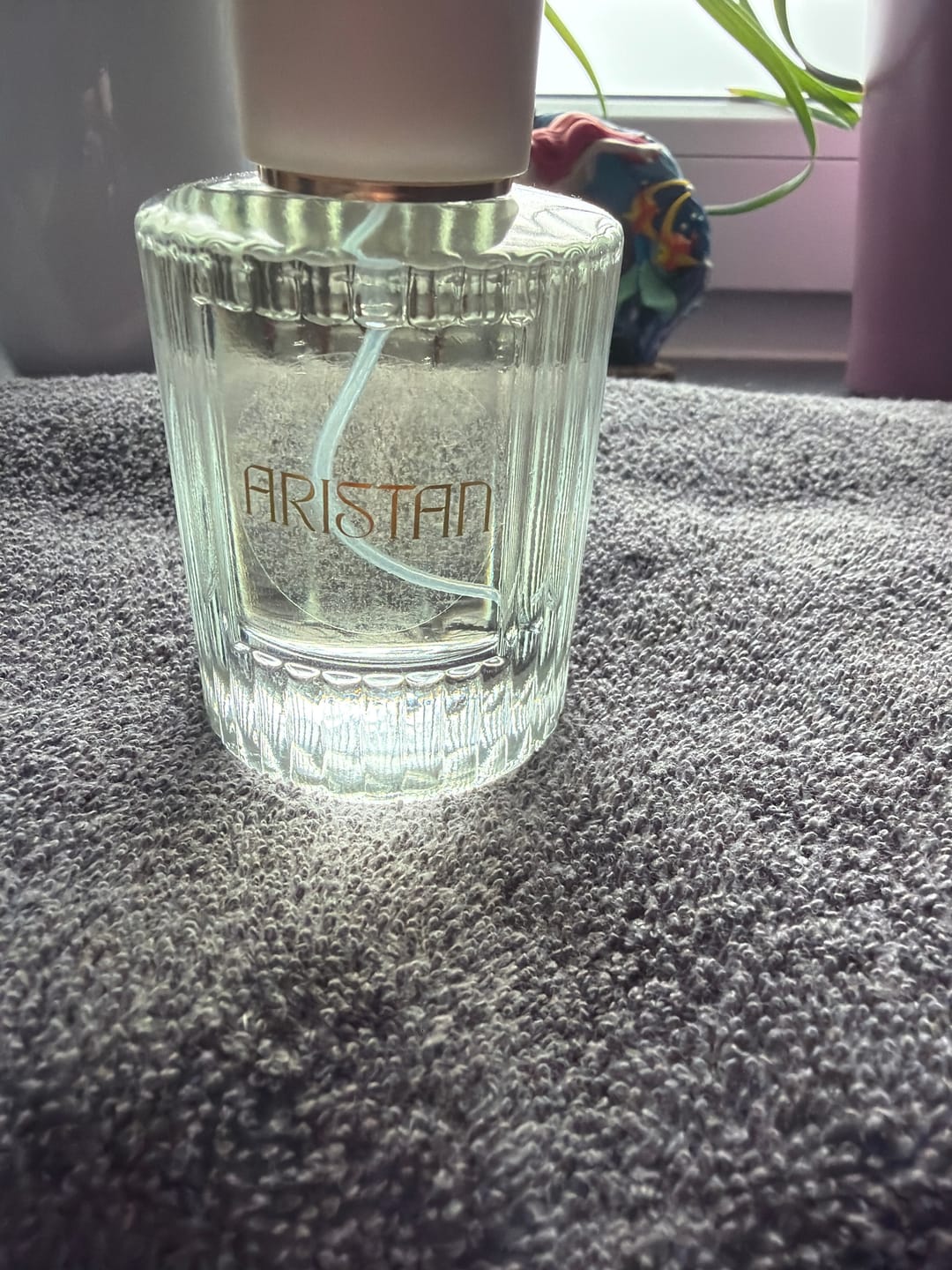 Customer photo review of La Muse