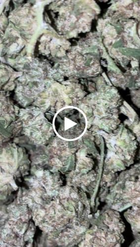 Customer video review of Cheap THCA Smalls Quarter Pound