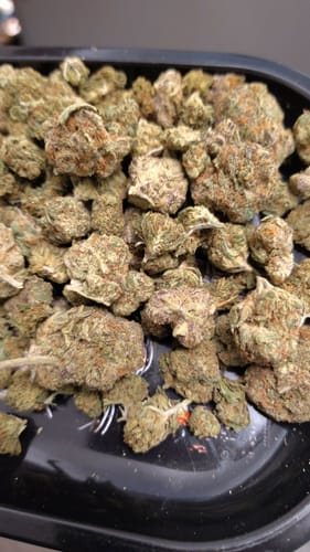 Berry Gelato - 28 Grams - Indica photo review