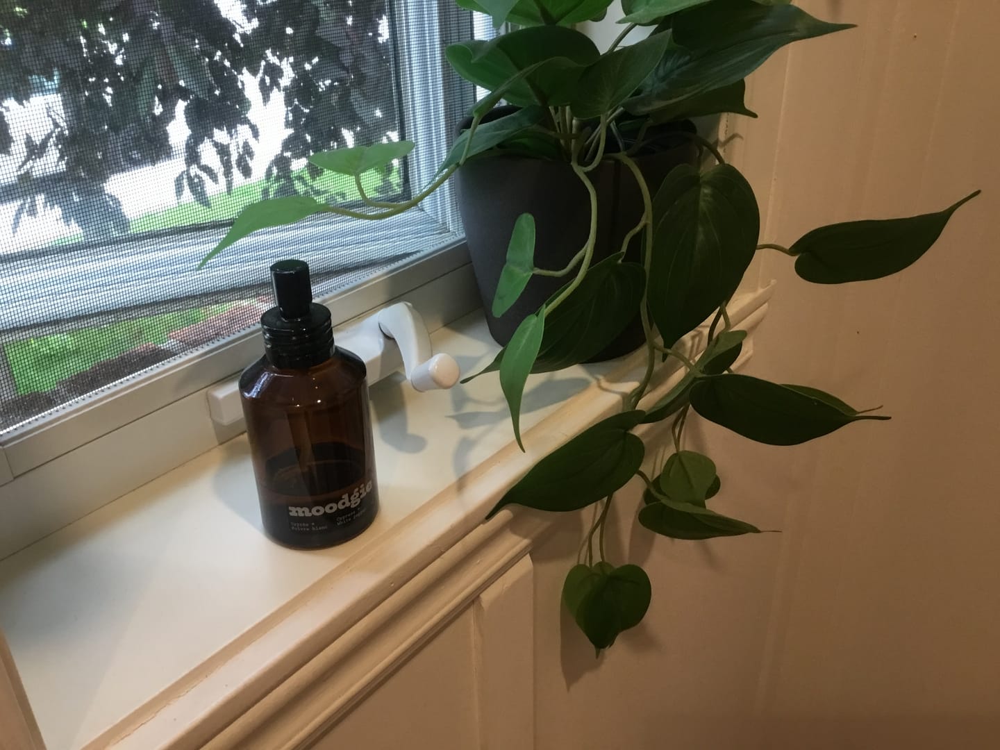 Customer photo review of Parfum d'intérieur - Cyprès + Poivre blanc