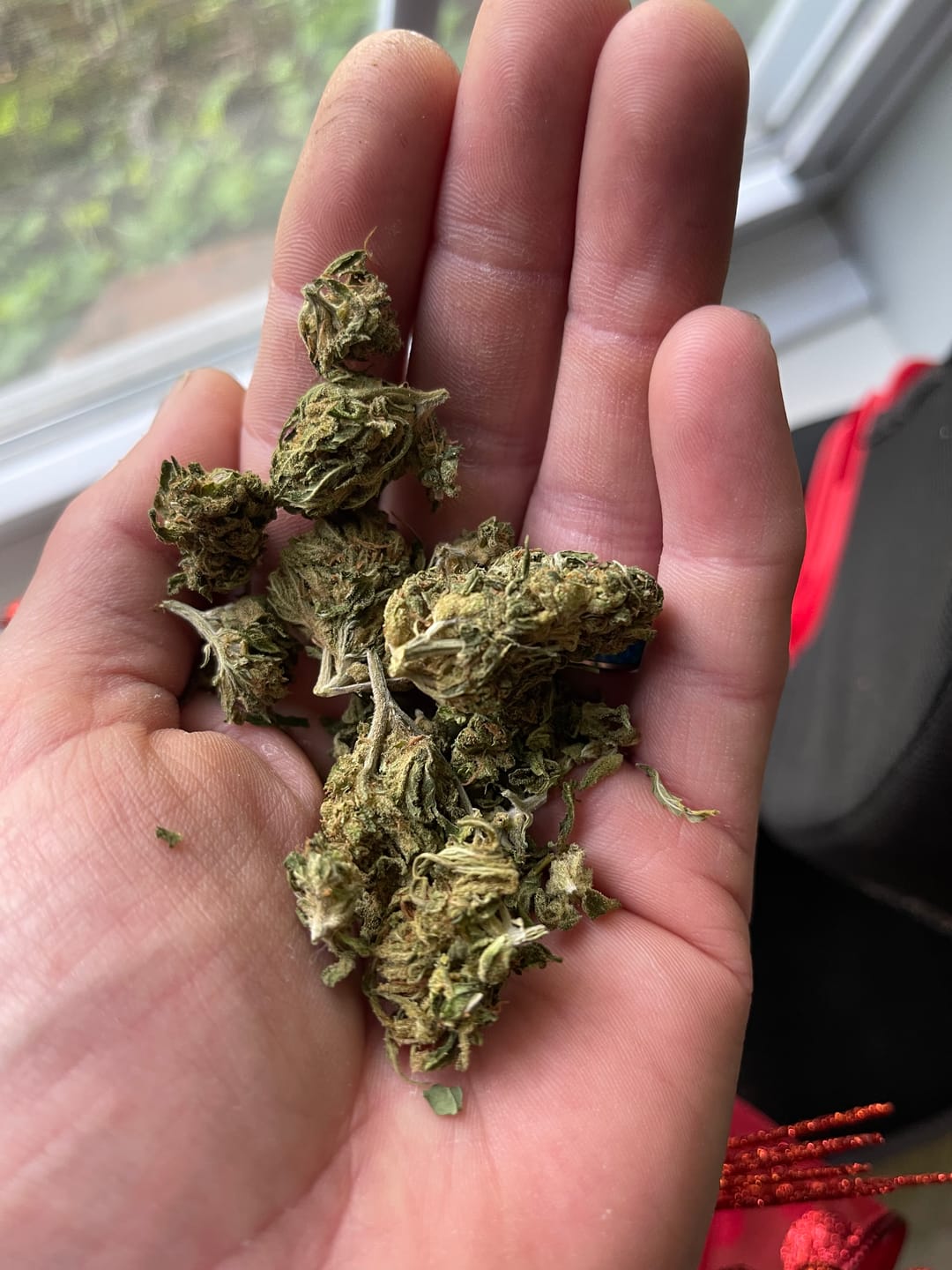 Customer photo review of Green Crack - 28 Grams - Sativa