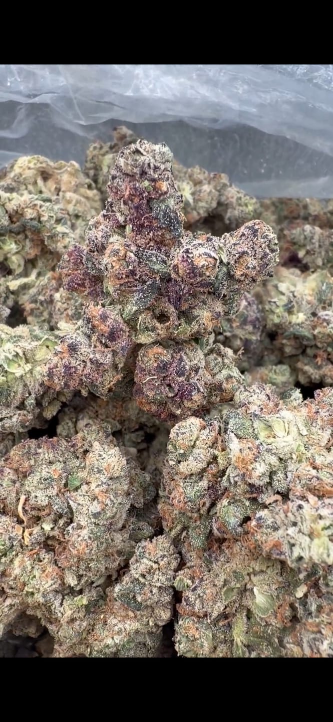 Customer photo review of Wedding Cake Minis - Bulk Minis - Indica