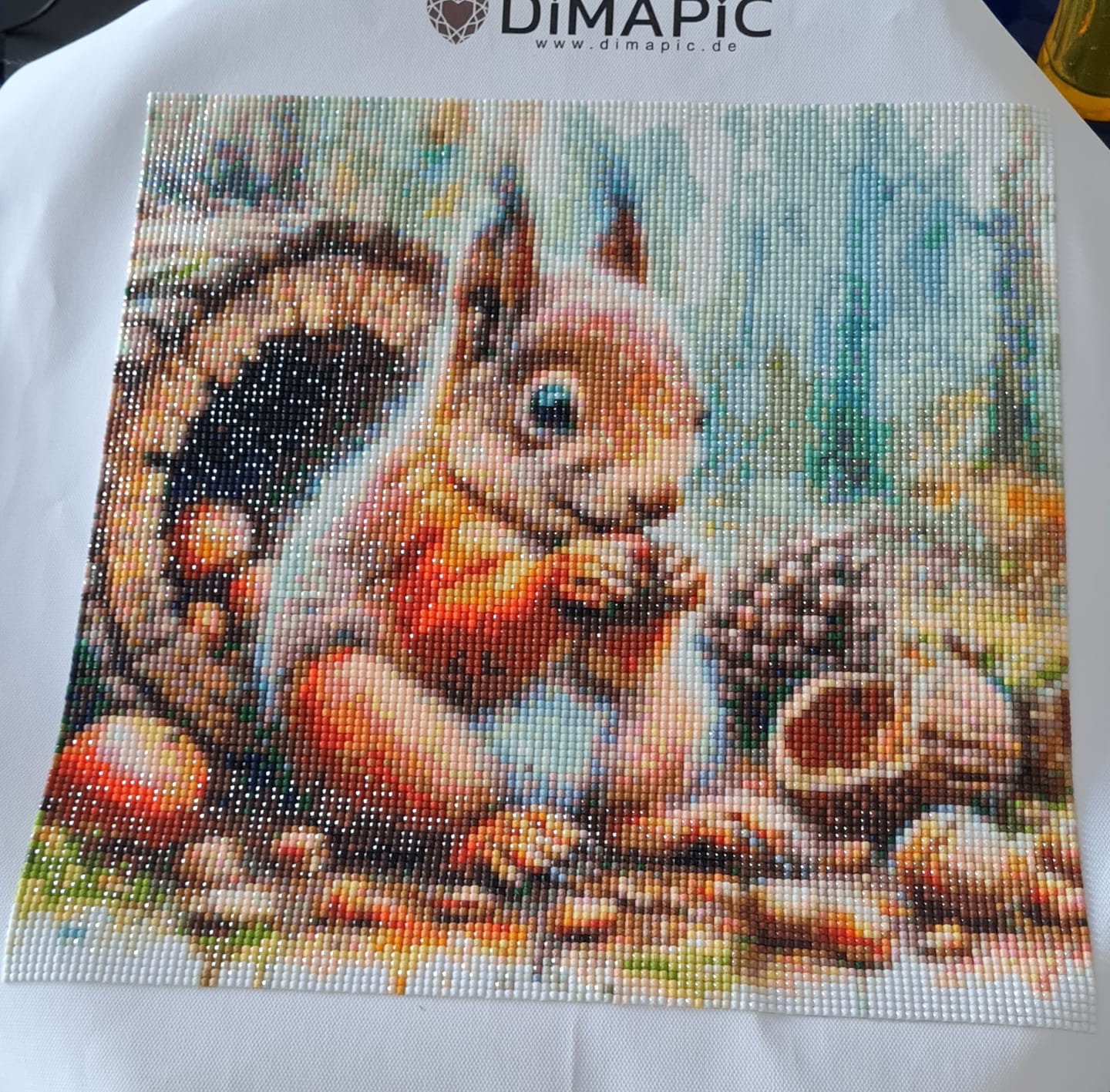 Customer photo review of 5D Diamond Painting - Paulchen