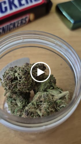Customer video review of SNIFFERS THCA Flower