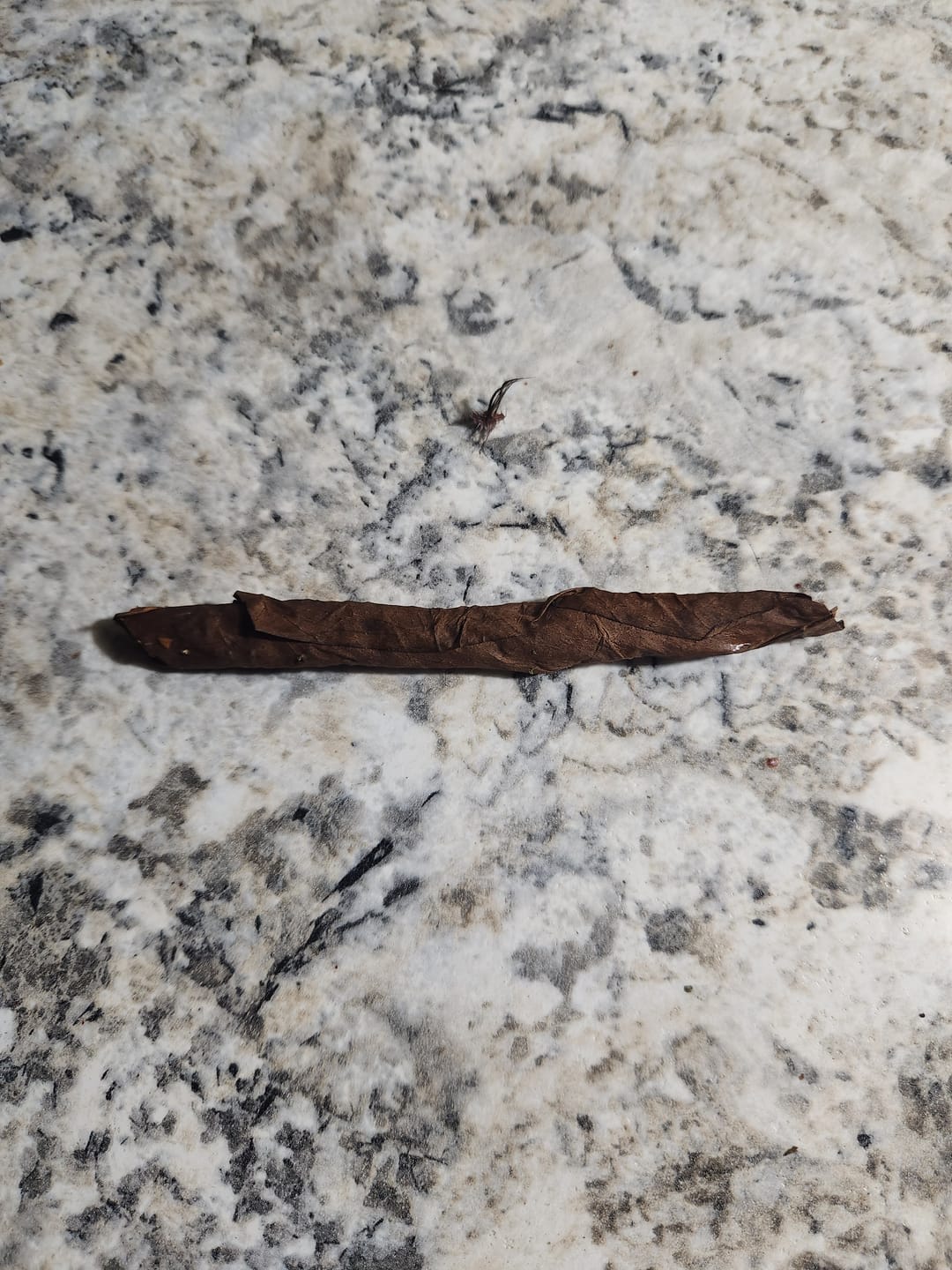Customer photo review of Double Dream - 28 Grams - Sativa