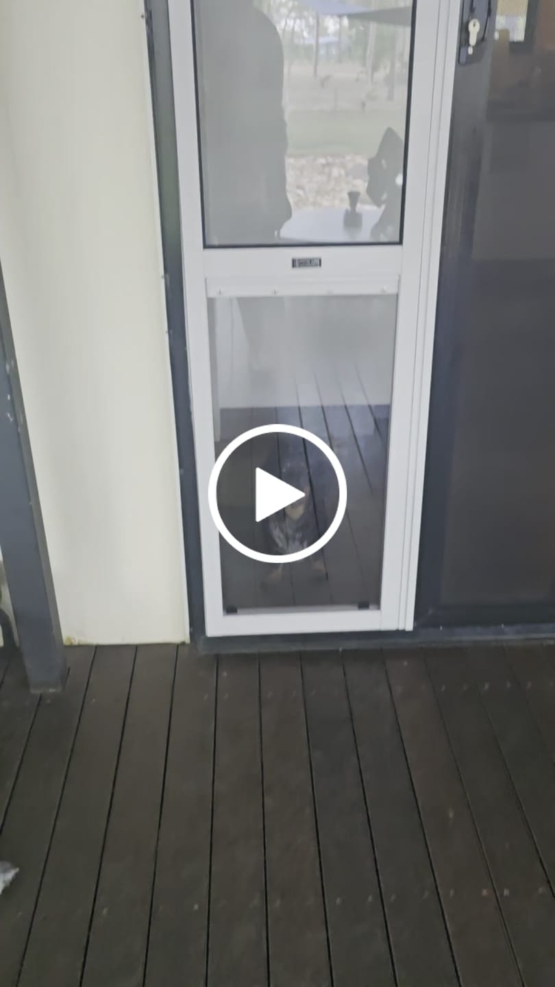 Customer video review of Pet Door Insert – Great Dane