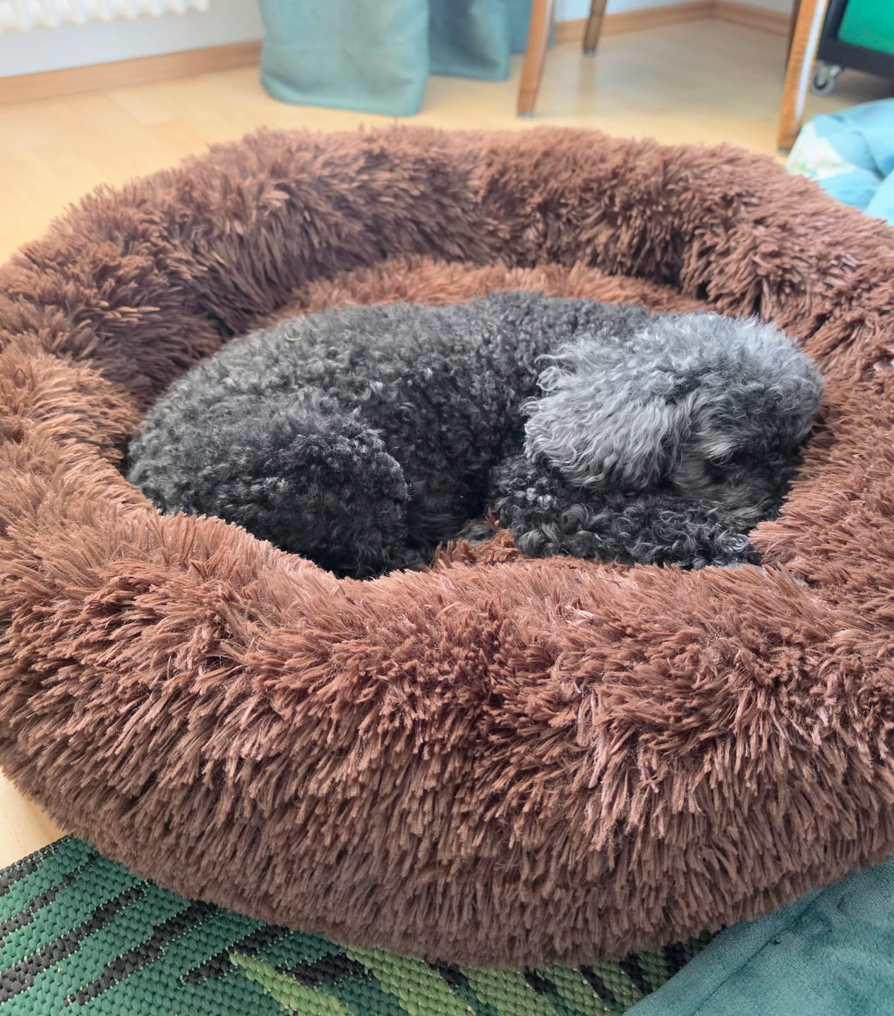 Customer photo review of Puppery Hundebett Wolke 7 - Das Original