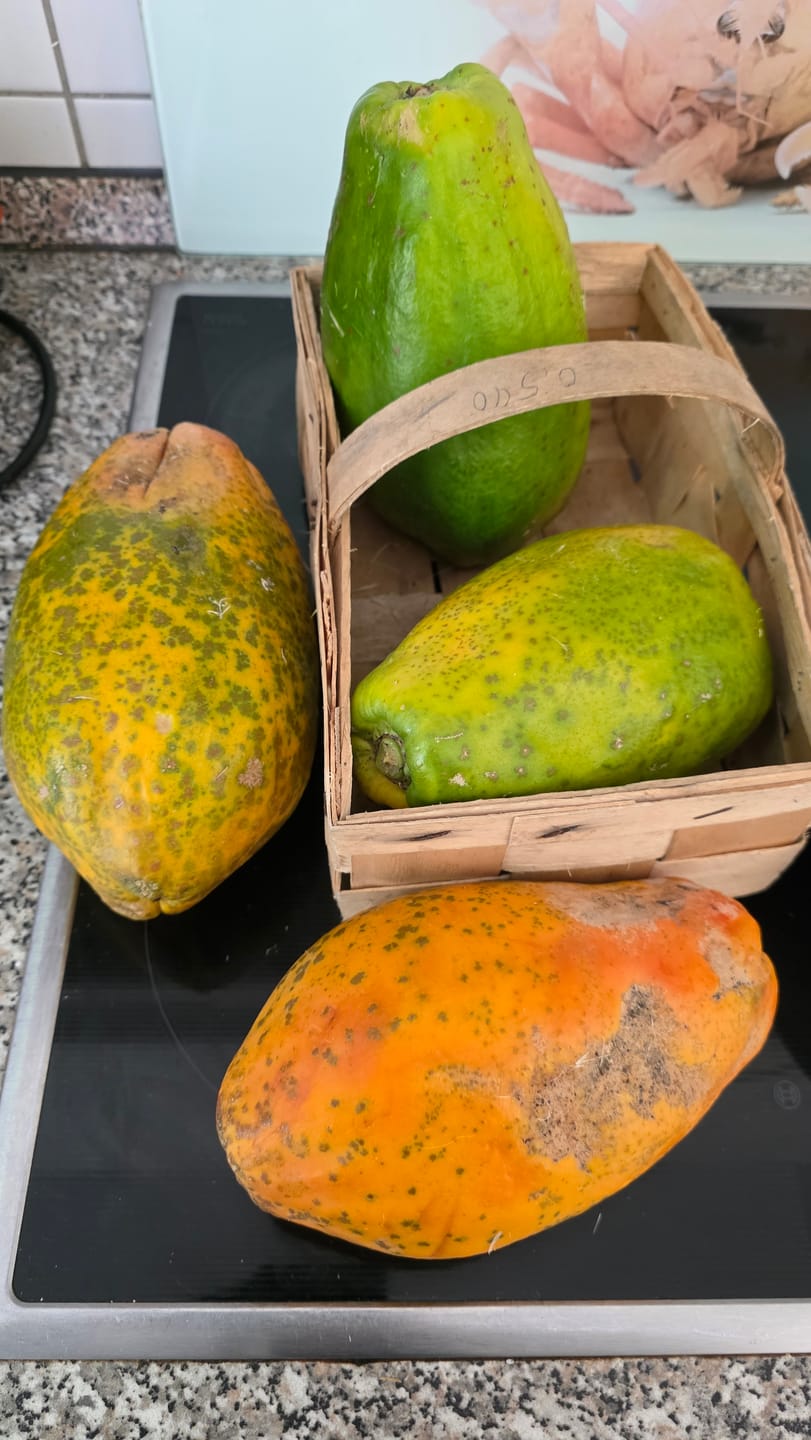 Customer photo review of Papaya Bio von Julian 4kg Box Sonderaktion %