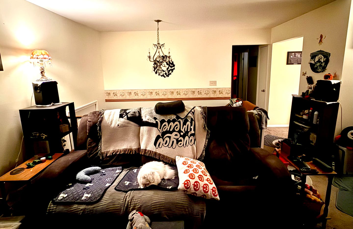 Customer photo review of Novus N6SS 6.5" Tripolar Surround Speakers Pair