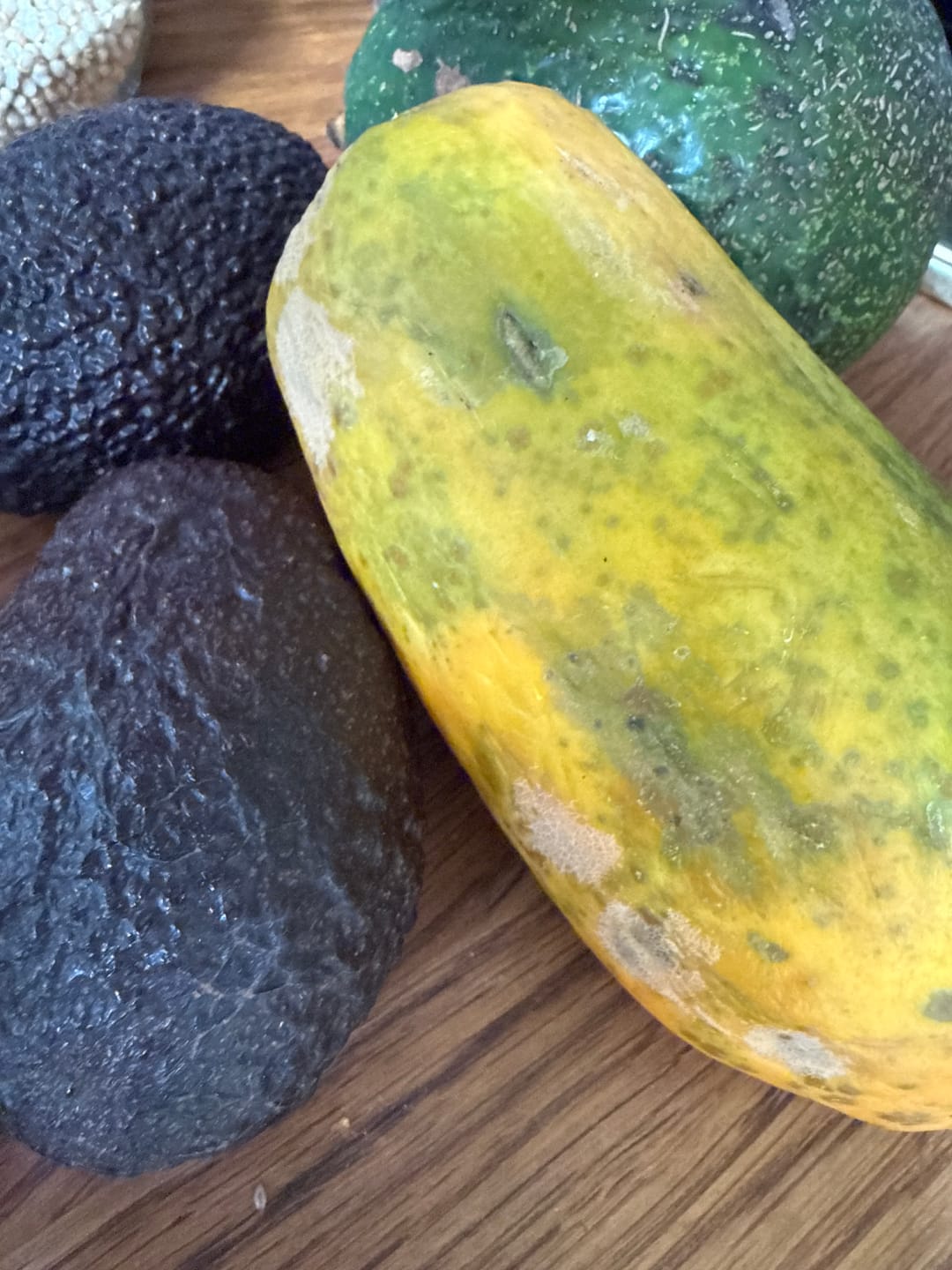 Customer photo review of Papaya Bio von Julian 4kg Box Sonderaktion %