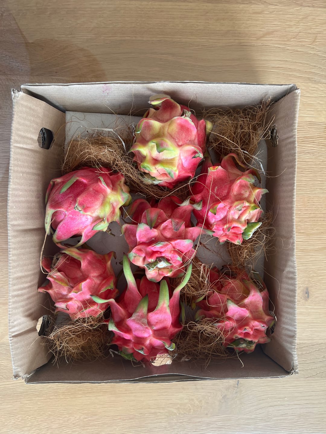 Customer photo review of Drachenfrucht rot von Julian Aktionswoche