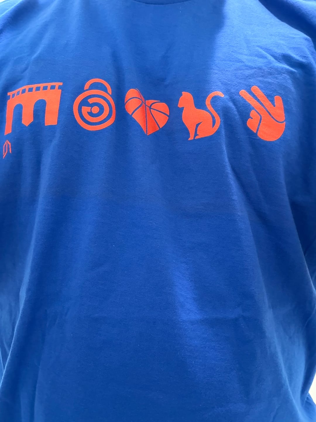 Customer photo review of NYK 5 Icons T-Shirt