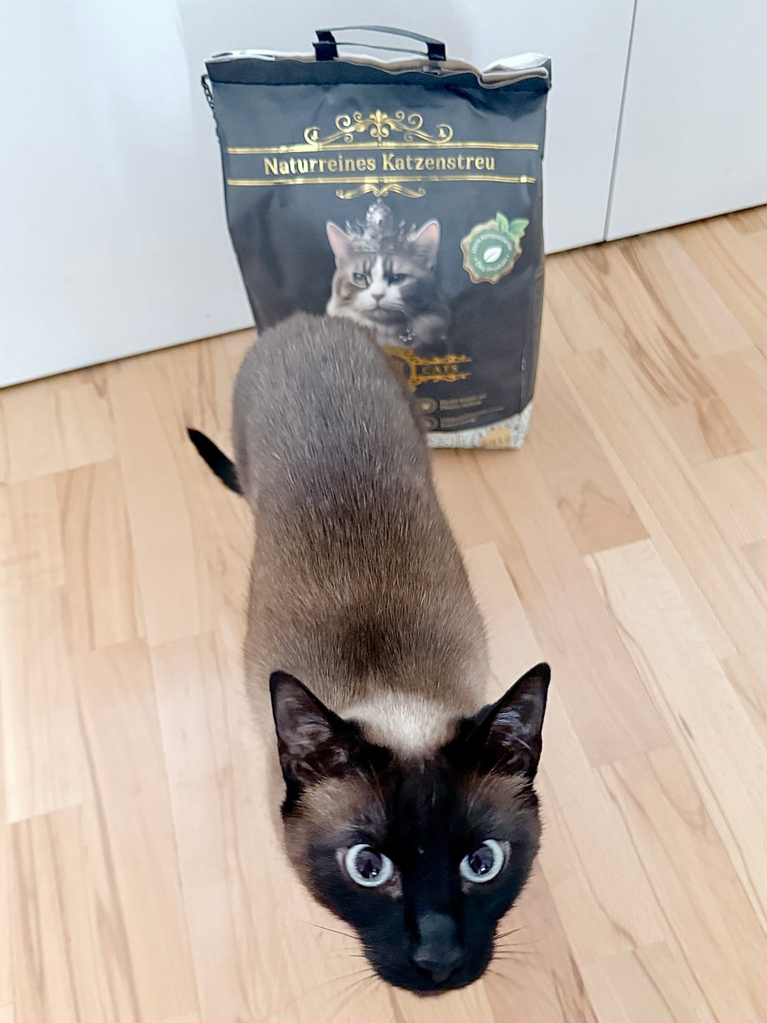 Customer photo review of Naturreines Katzenstreu