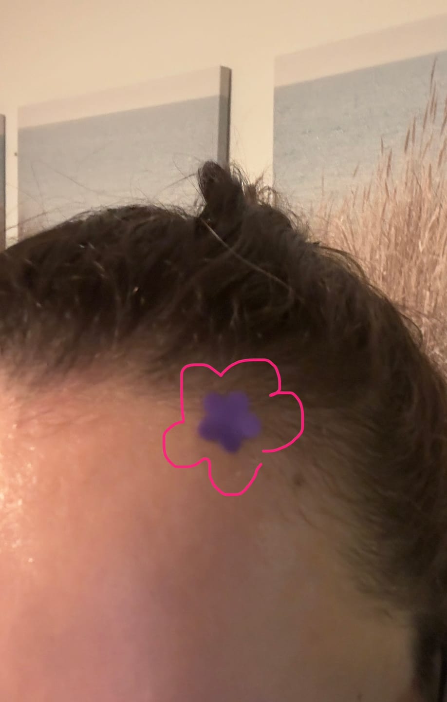 Customer photo review of Purple Bloom