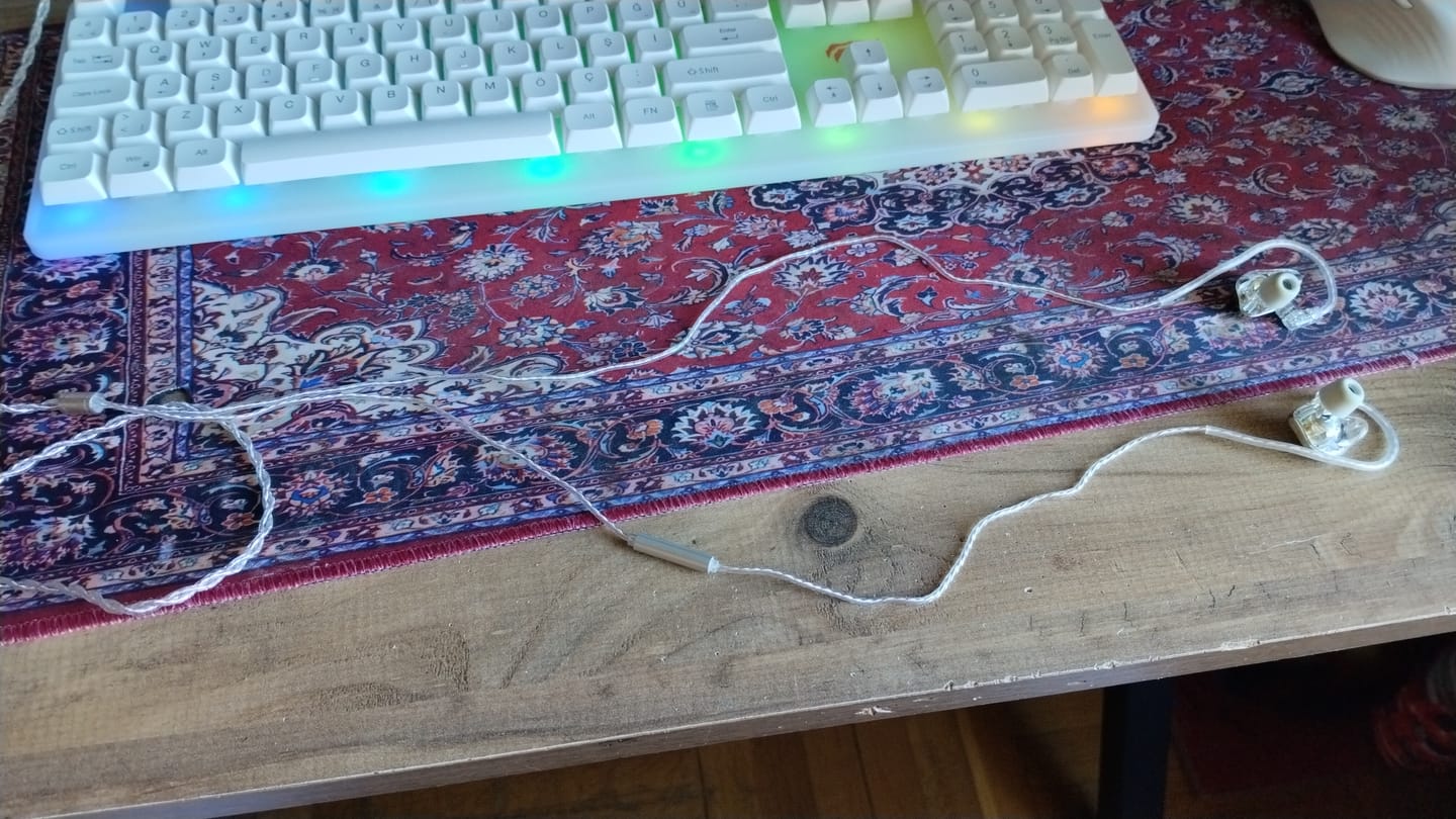 Customer photo review of Wraith Sense IEM Kulaklık