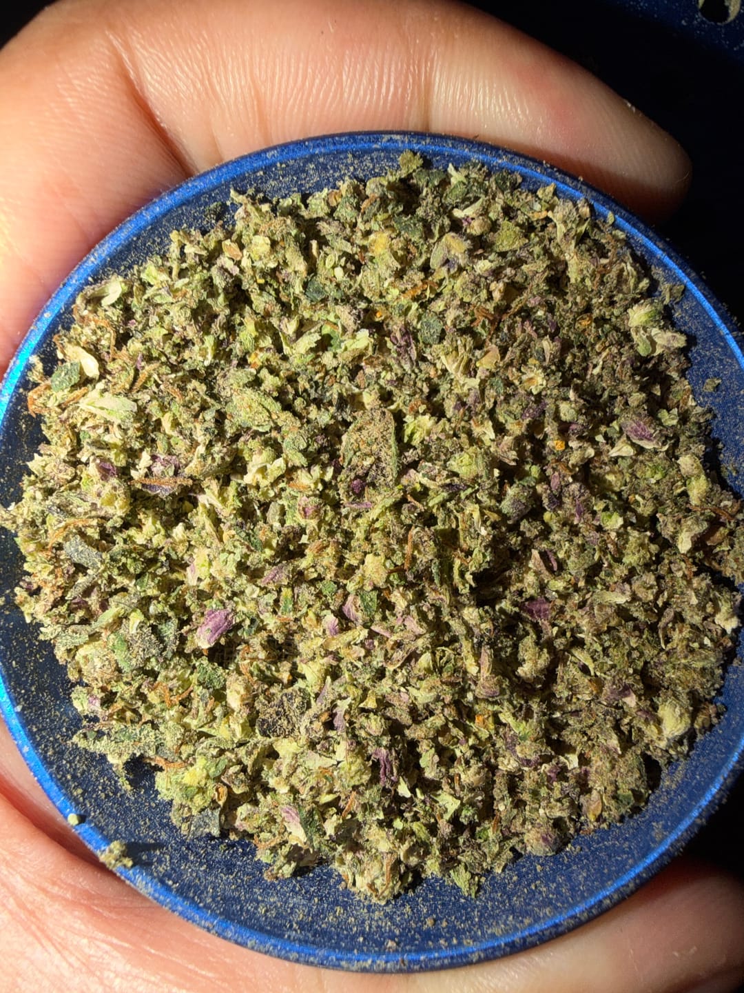 Customer photo review of Bolo Runtz - 4 Grams - Hybrid