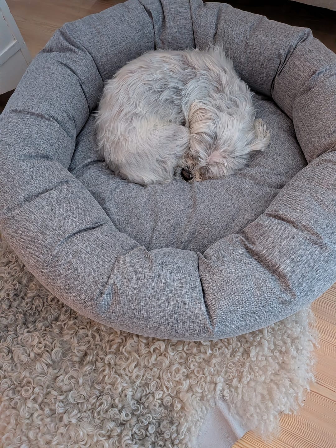 Customer photo review of CalmBed - Pälsfritt Överdrag