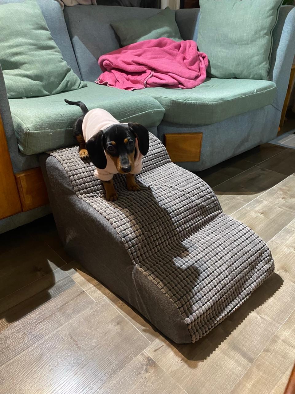 Customer photo review of Rampa Pendiente Suave THE DOGS