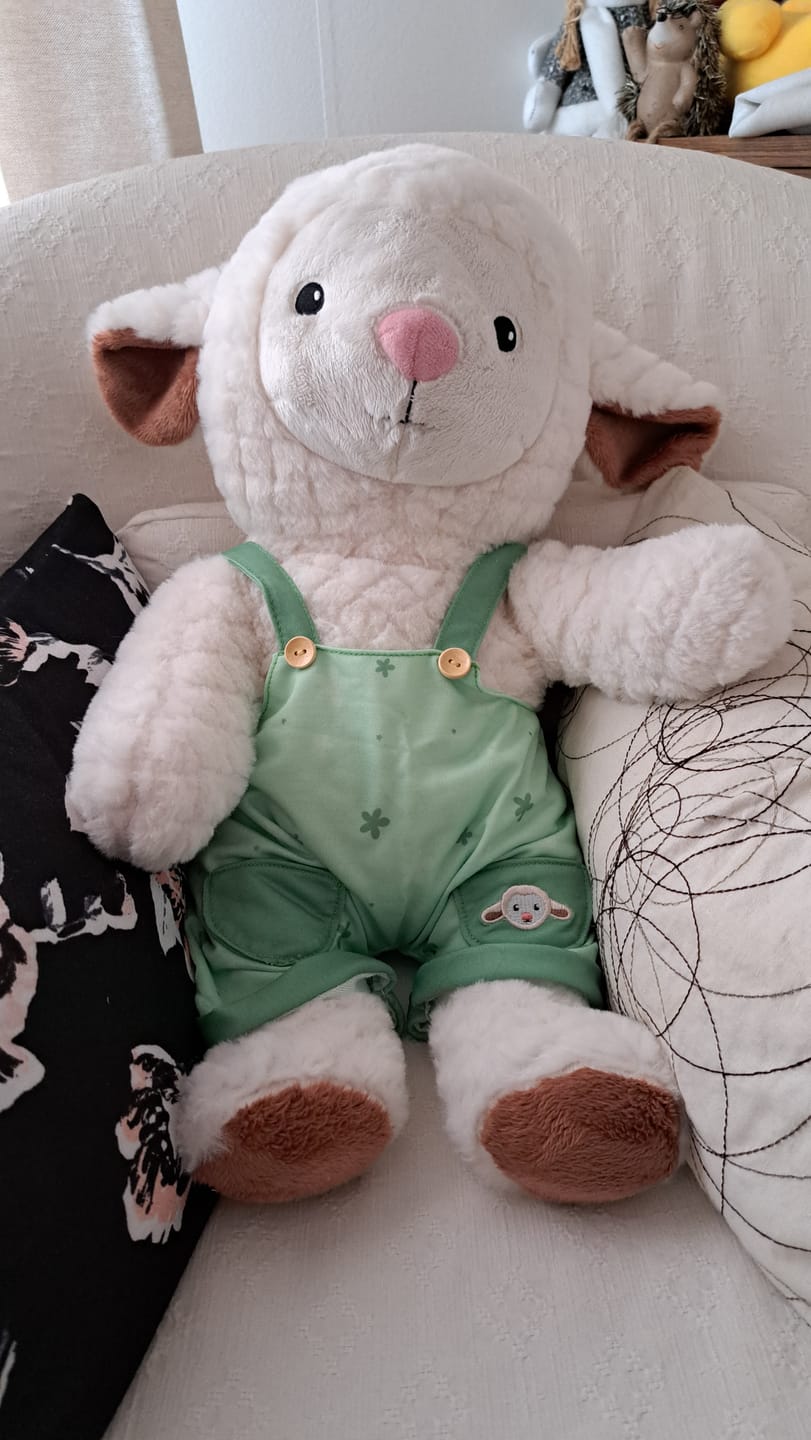 Customer photo review of Schaap Kleding Lente Lotgenootje