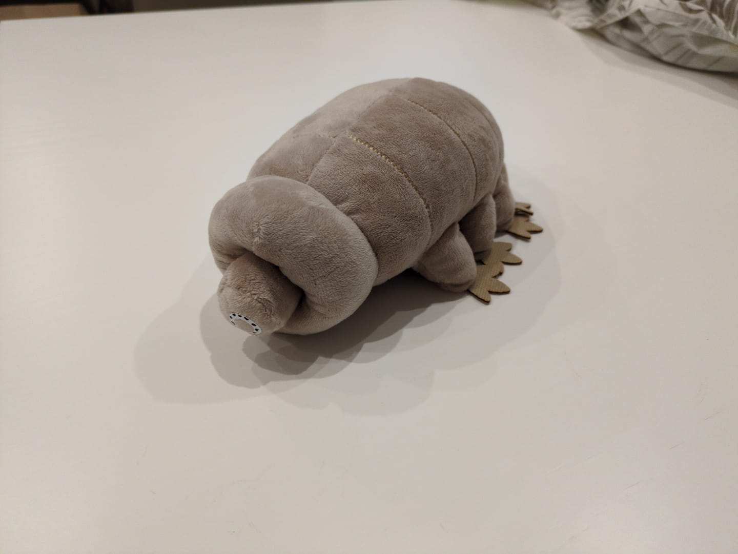 Customer photo review of Tardigrade Water Bear Soft Stuffed Plush Toy