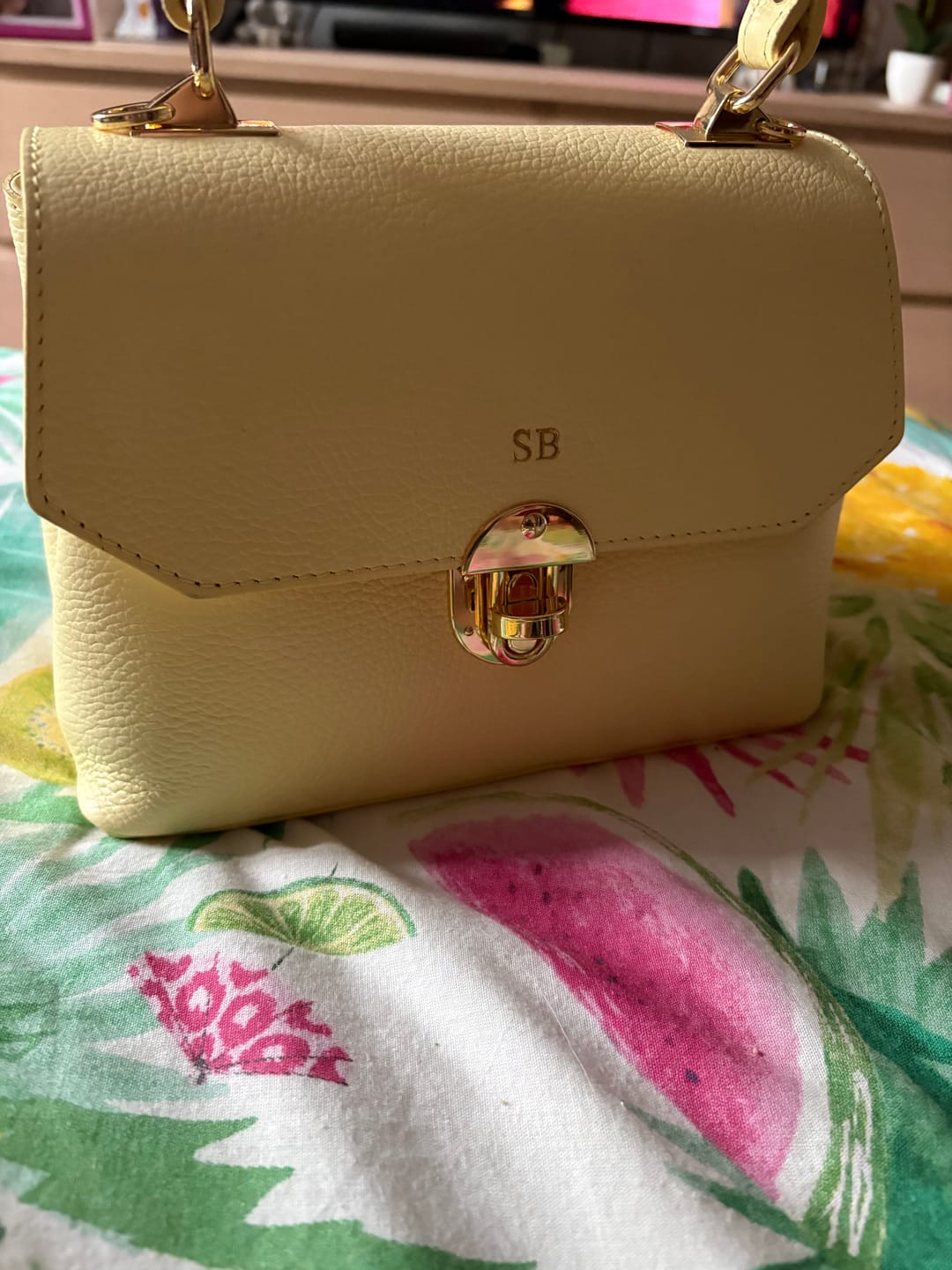 Customer photo review of The Lucinda Top Handle Bag