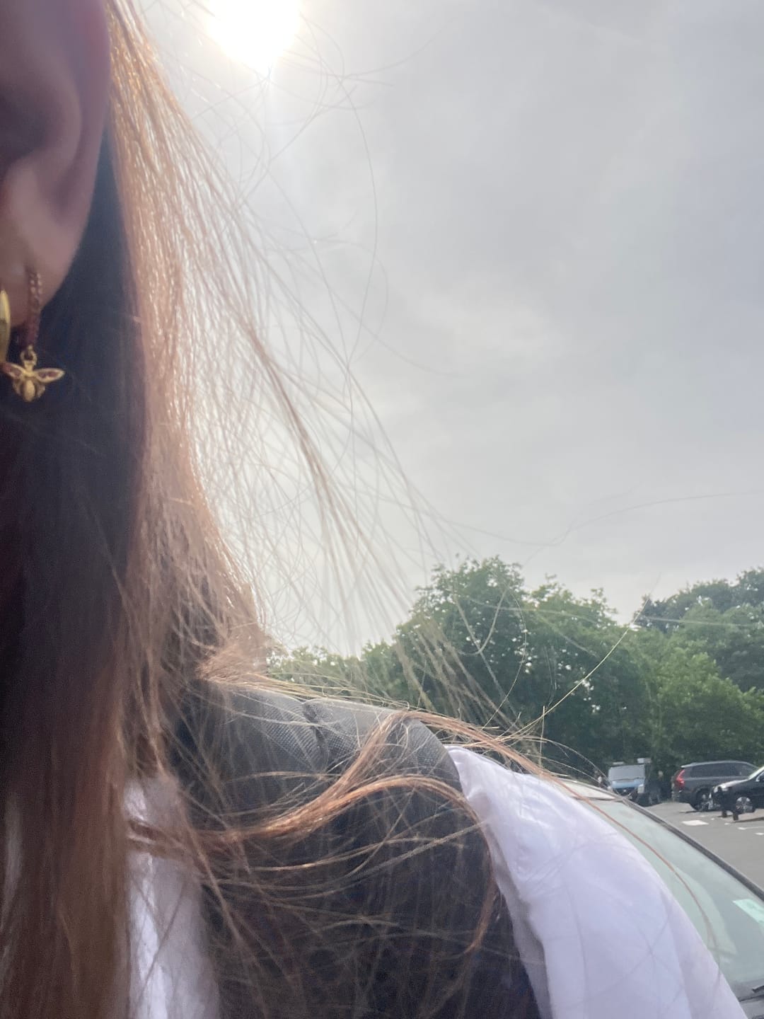 Customer photo review of Ines Pink Gold Bee Huggie Earrings
