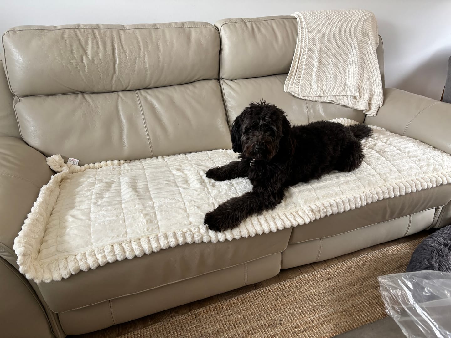 Customer photo review of CouchCloud - Couch Covers