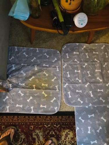 Customer photo review of 6 PUP PADS