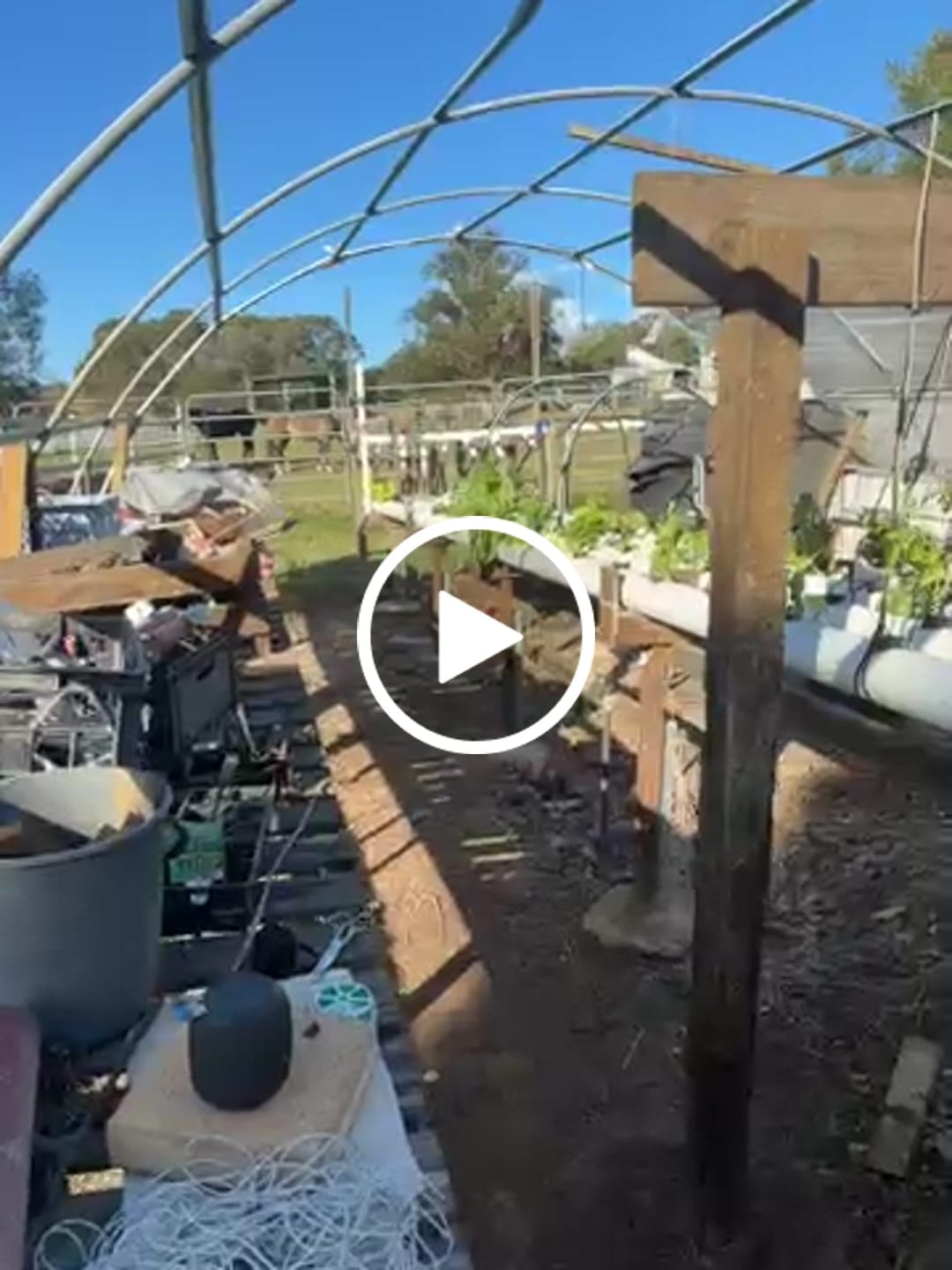 Customer video review of The Salad Table Nutrient 10L Complete Kit