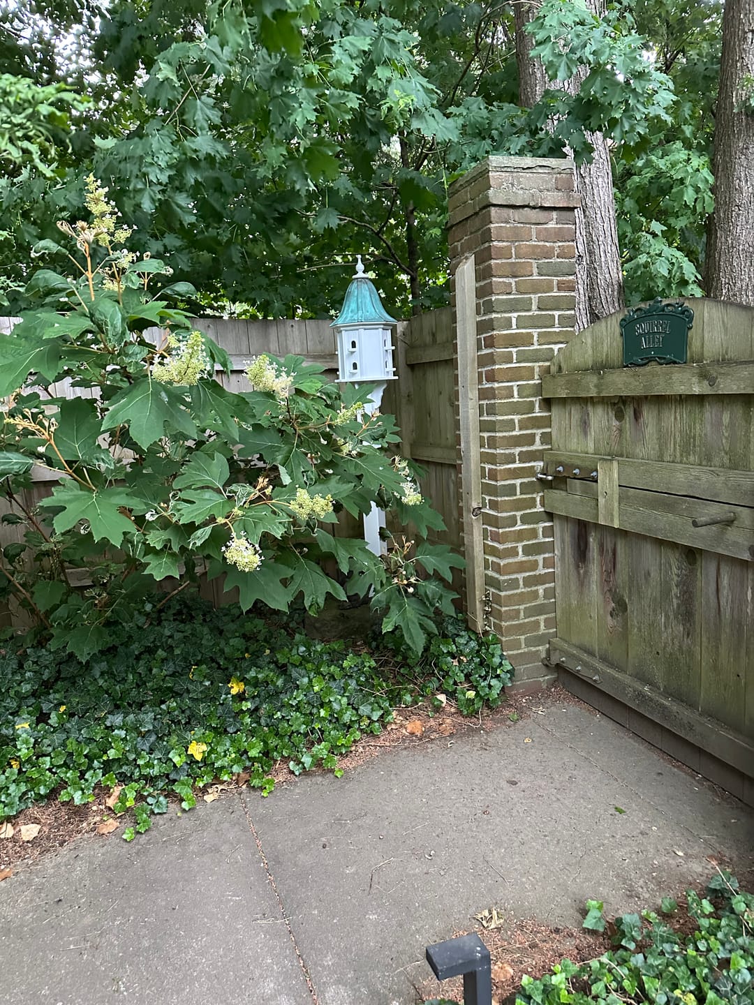 Customer photo review of Bell Hex Copper Roof  Birdhouse