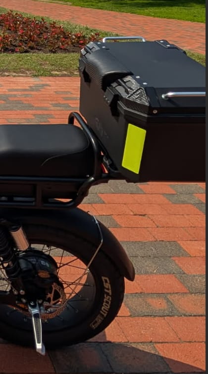 Customer photo review of Foldable Foot pegs for Emma & Leon