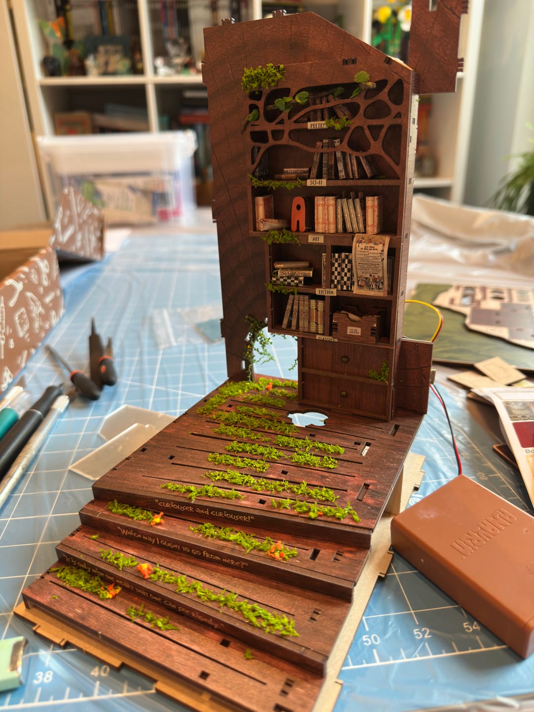 Customer photo review of Cats Crossing Book Nook Kit
