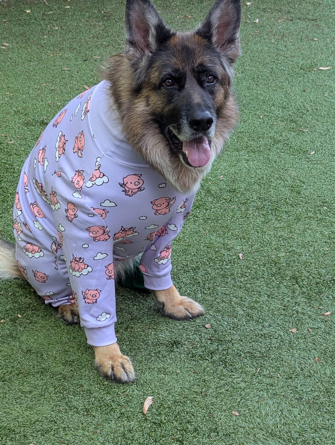 Customer photo review of Dog Pajama Prints
