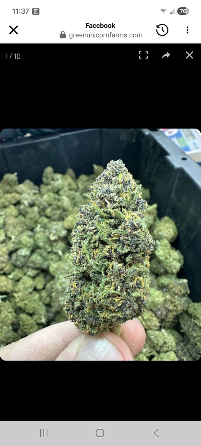 Customer photo review of Godfather OG - 28 Grams - Indica