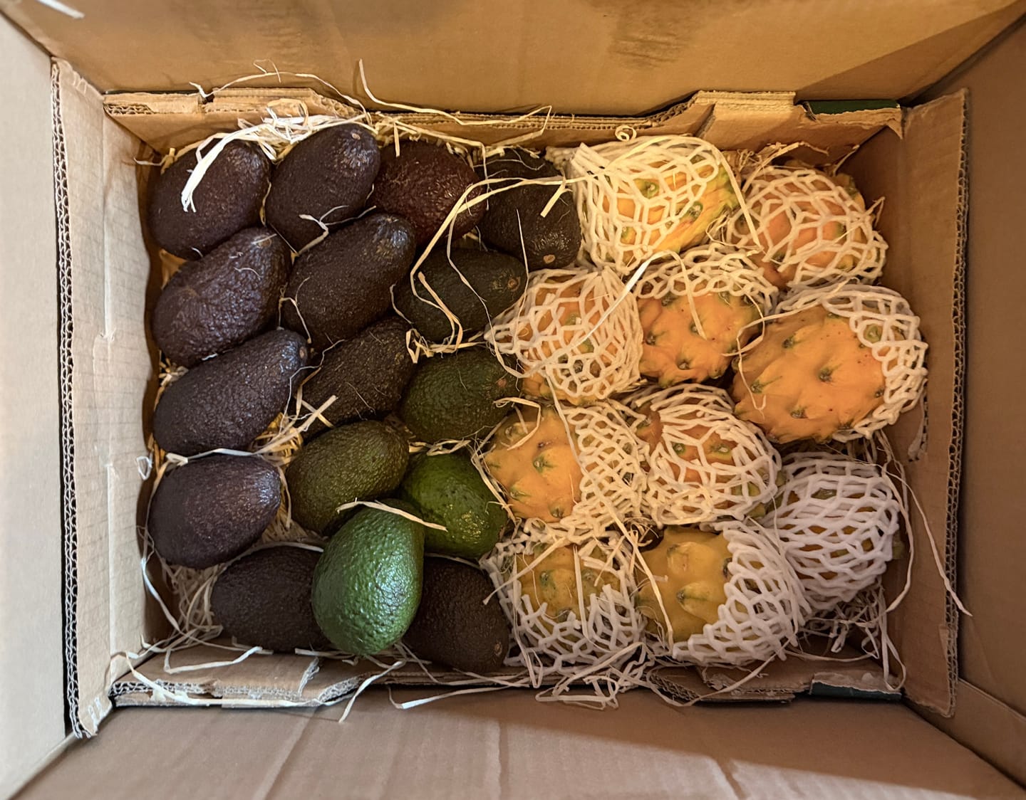 Customer photo review of Goldene Drachenfrucht Sonderaktion % 2kg