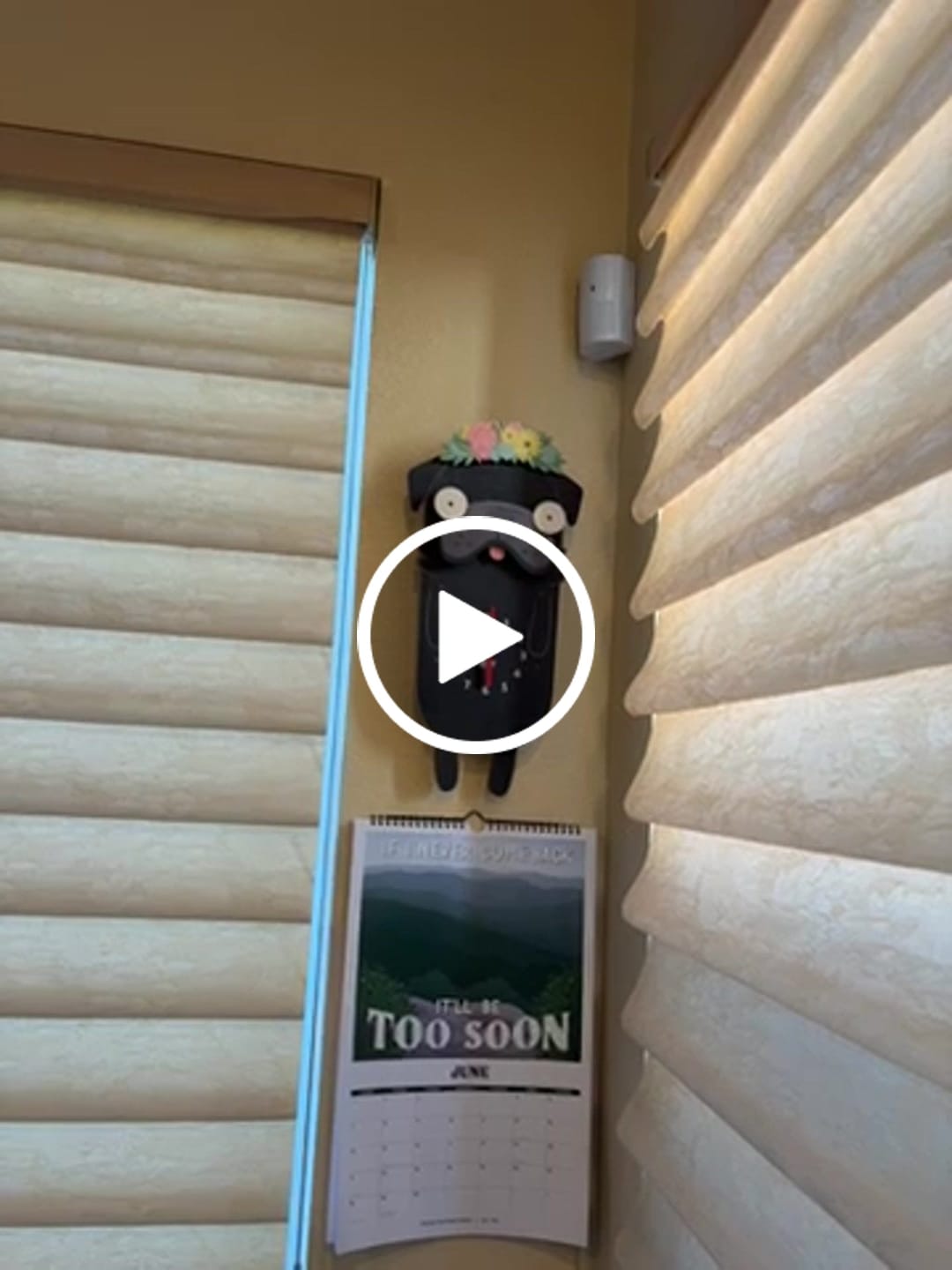 Customer video review of Penny the Pug Pendulum Clock