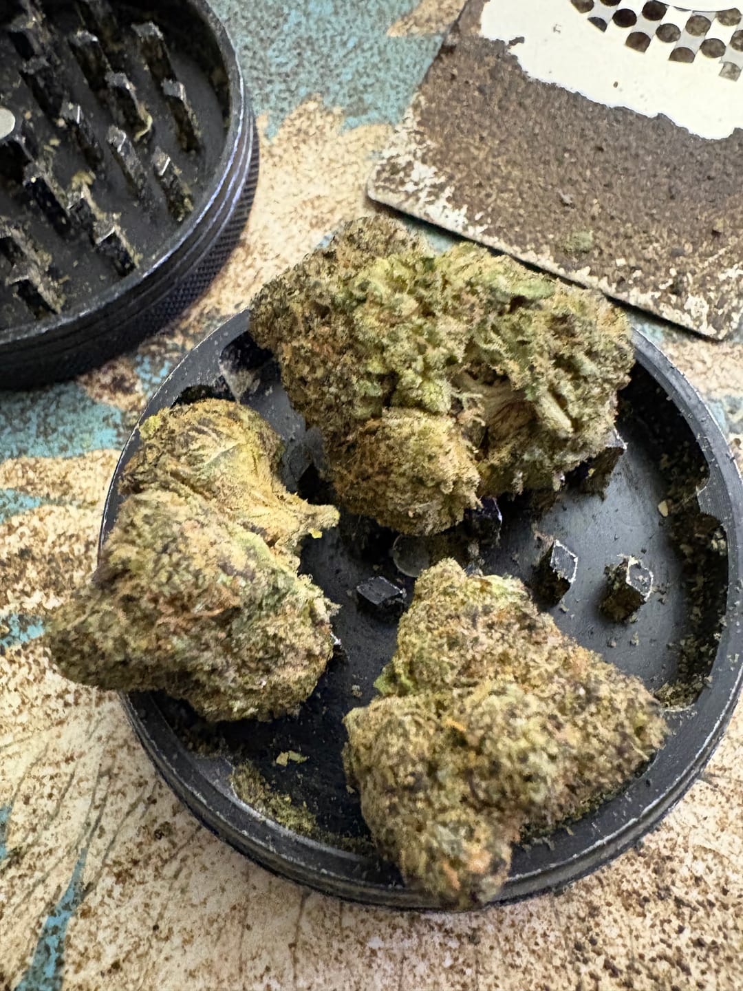 Customer photo review of Indoor Smalls