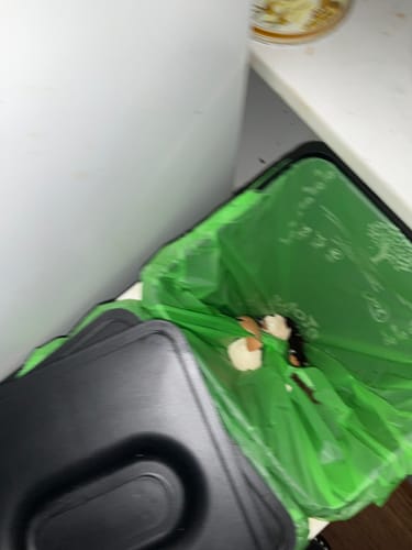 Customer photo review of 30L Bin Liners- General Use