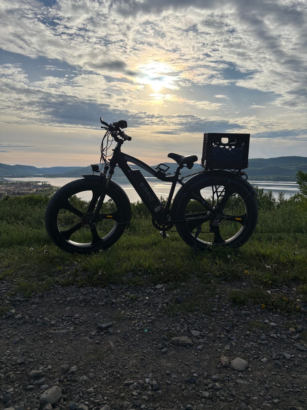 Customer photo review of E-Wild Pro Ebike