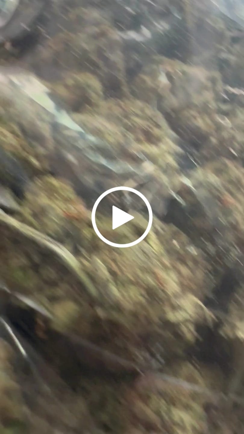 Customer video review of Grape Gas - Bulk - Hybrid