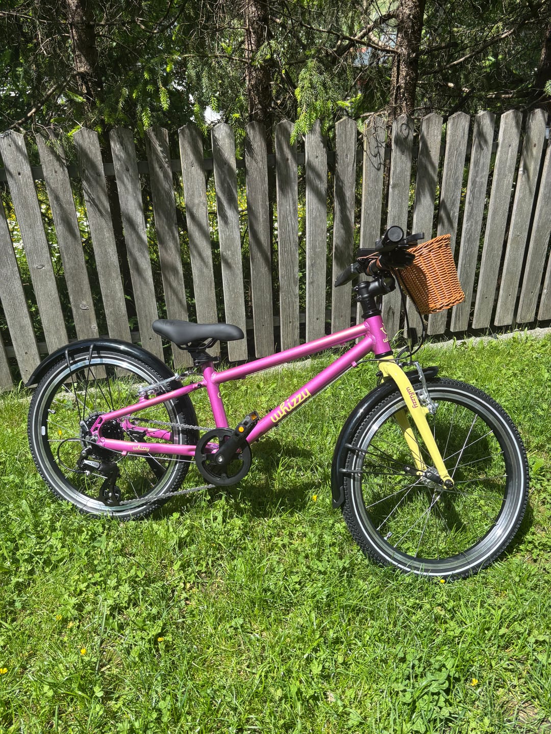 Customer photo review of whizzy Kids | WildCruiser 20'' Fahrrad | Pre-Sale Mai / Juni