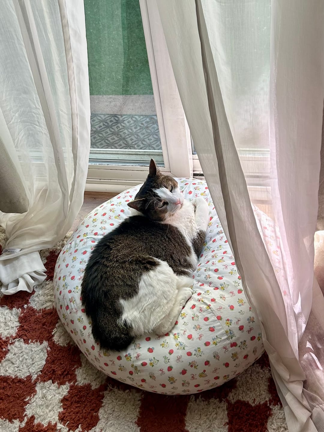 Customer photo review of Strawberry Jam Pudding Bed