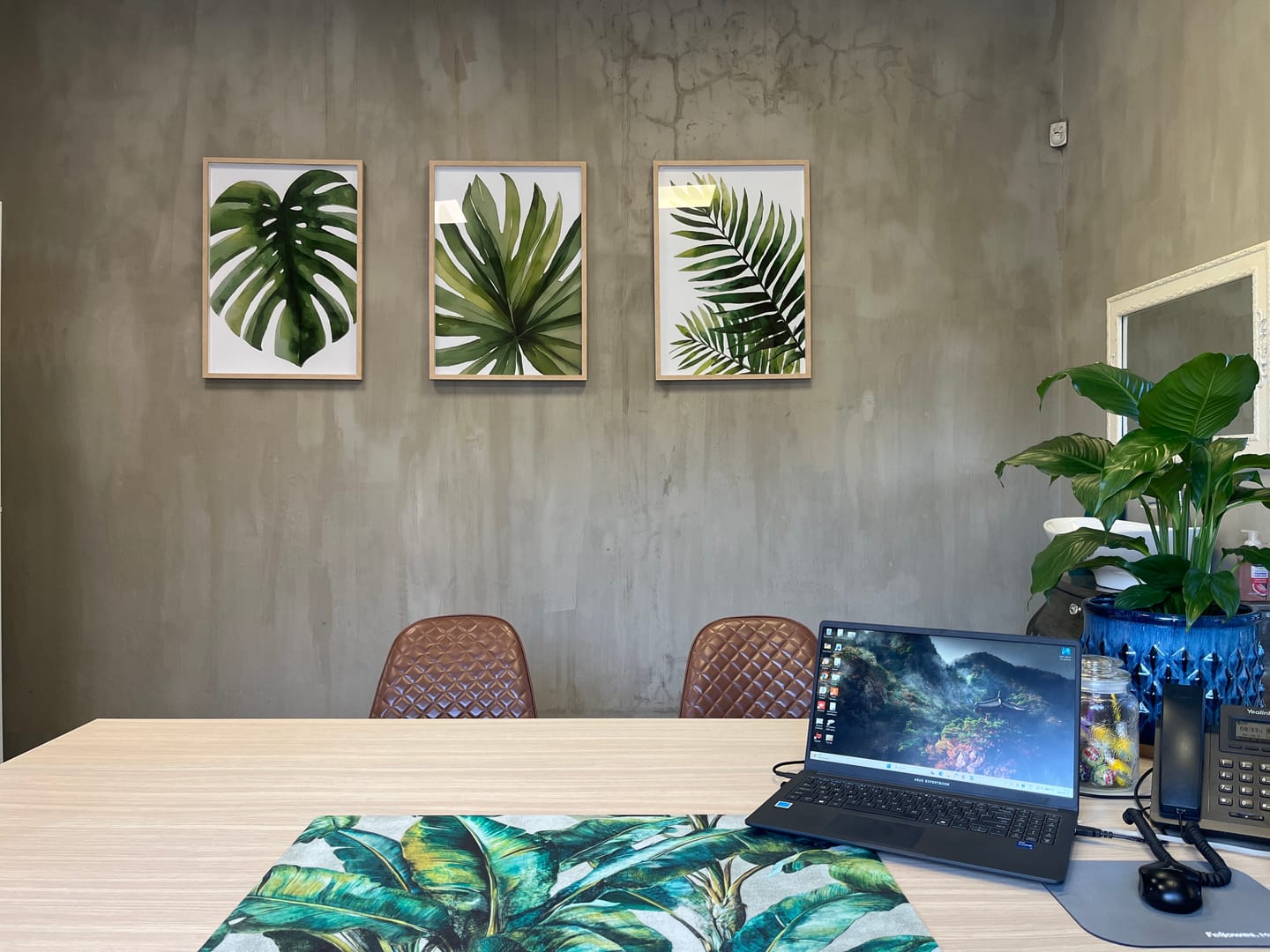 Customer photo review of Framed Wall Art | Plant | Leaves | 3 Set