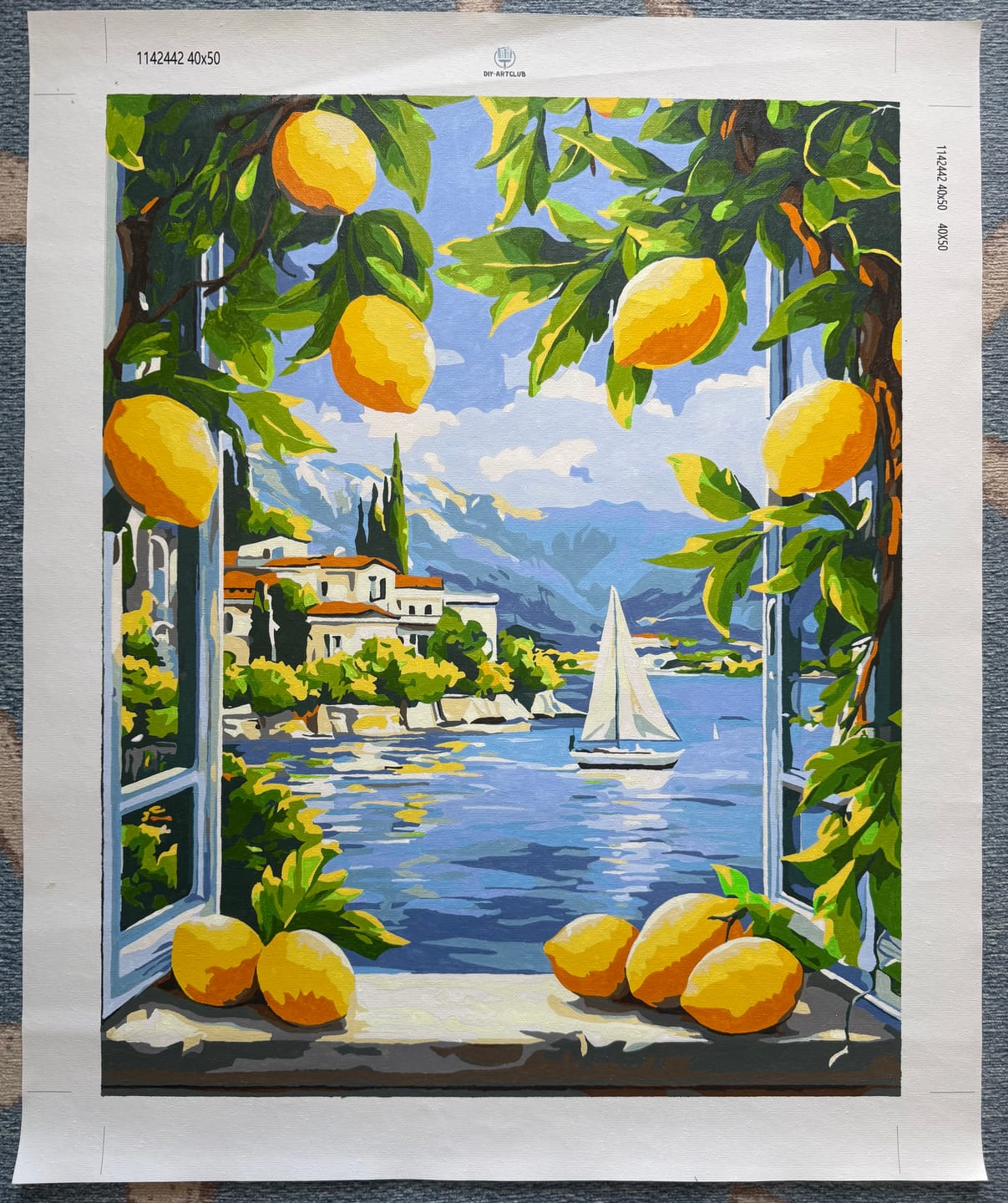 Customer photo review of Lemons & Italian Lake View | Paint by Number
