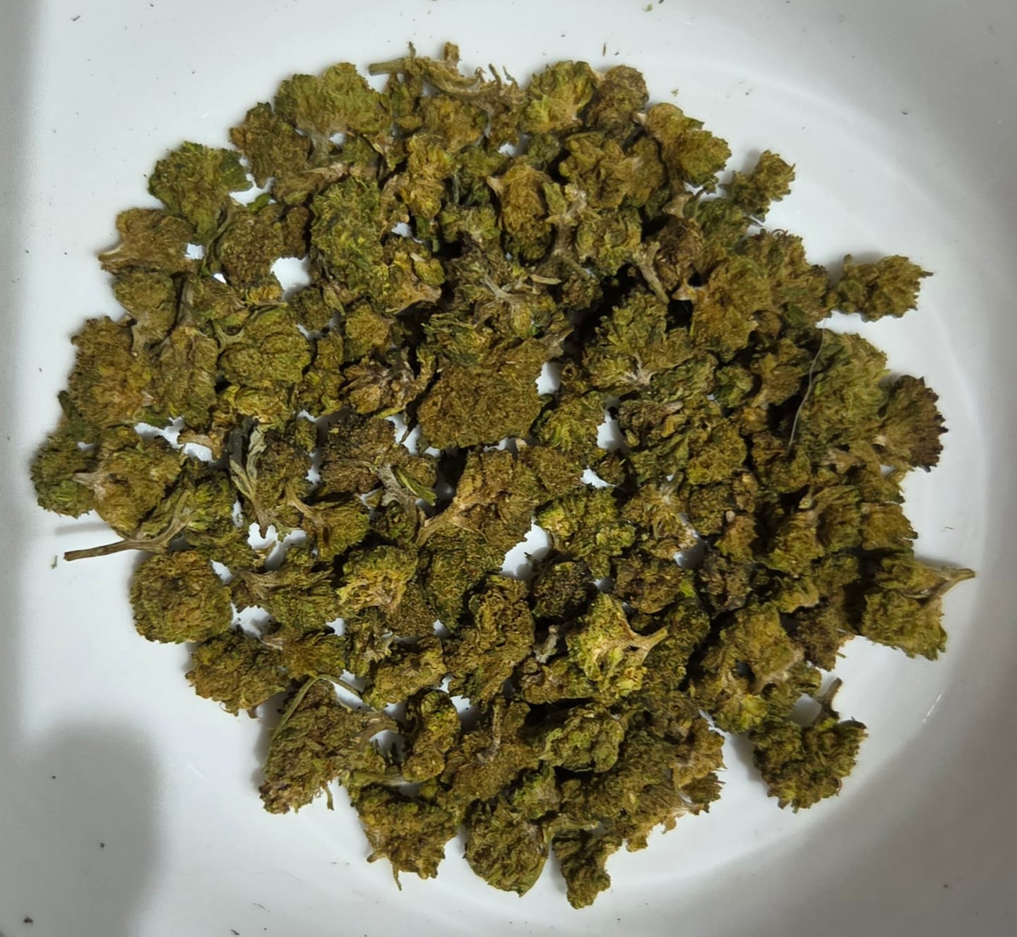 Customer photo review of Gelato 41 - 28 Grams - Hybrid