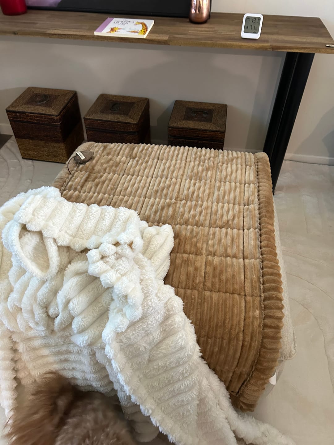 Customer photo review of LuxeLounge™ Couch Cover