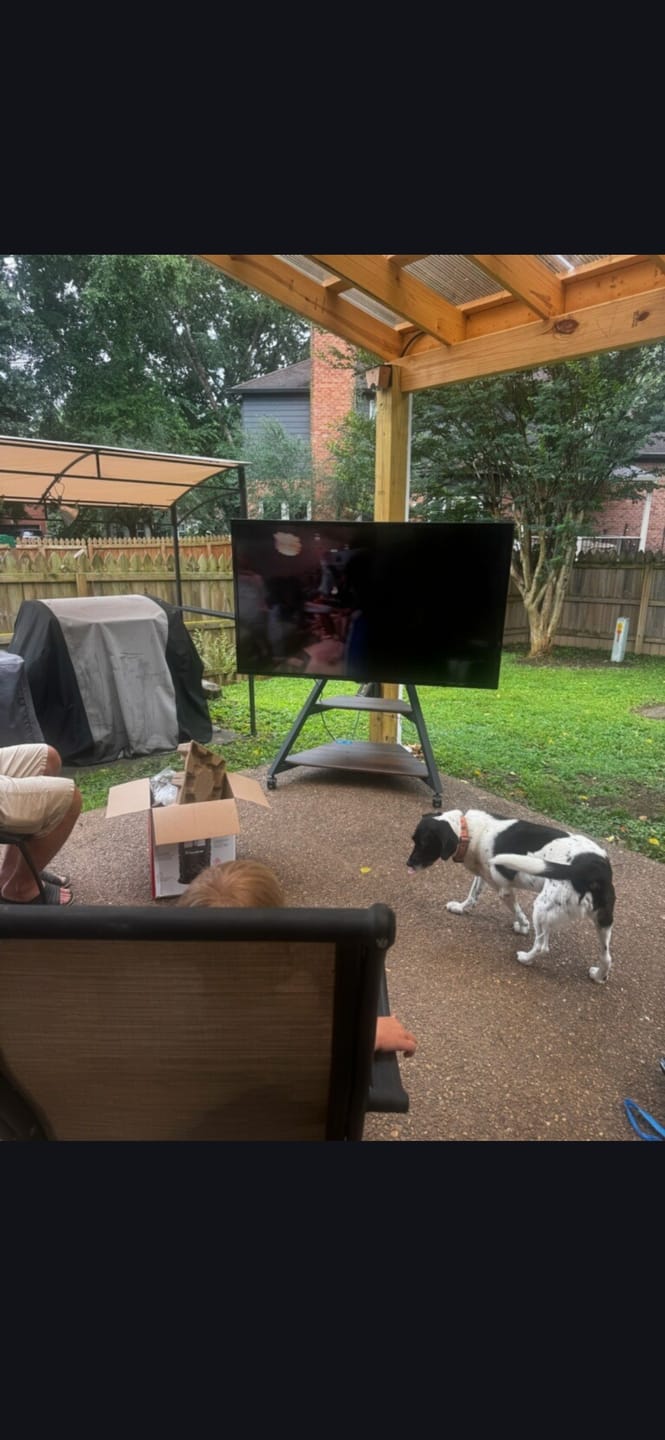 Customer photo review of Eiffel V2 FT88 TV Stand