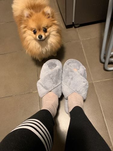 Customer photo review of Nordic Cozy Cross Band Slippers
