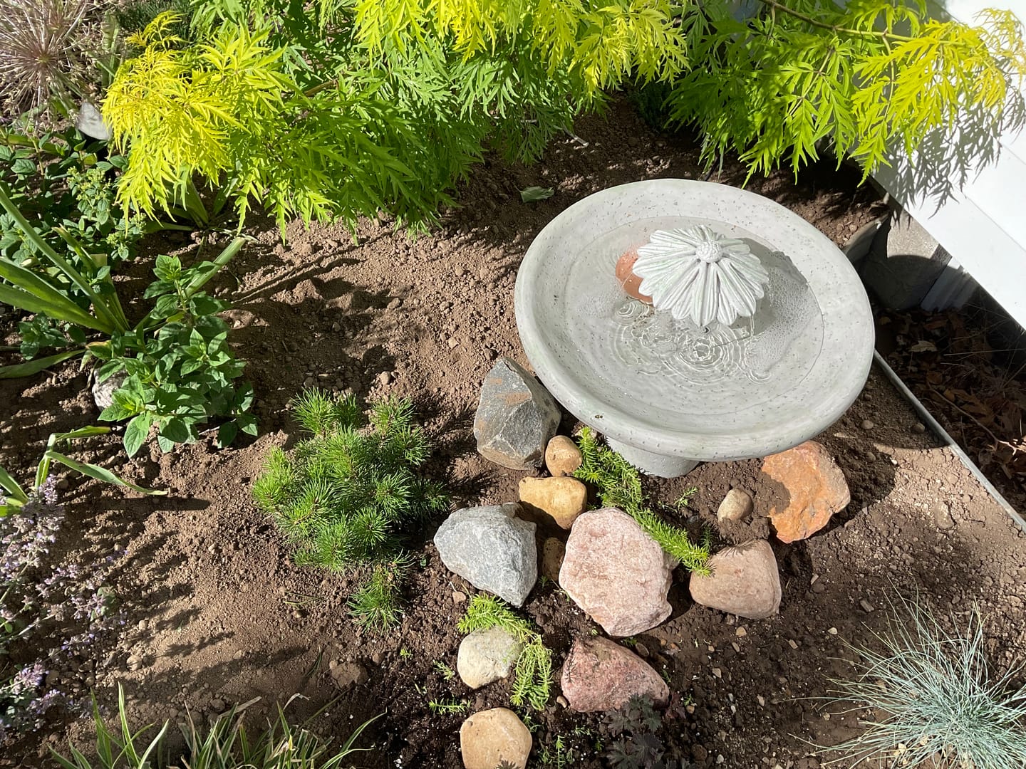 Customer photo review of Flower Dripper Bird Bath Fountain