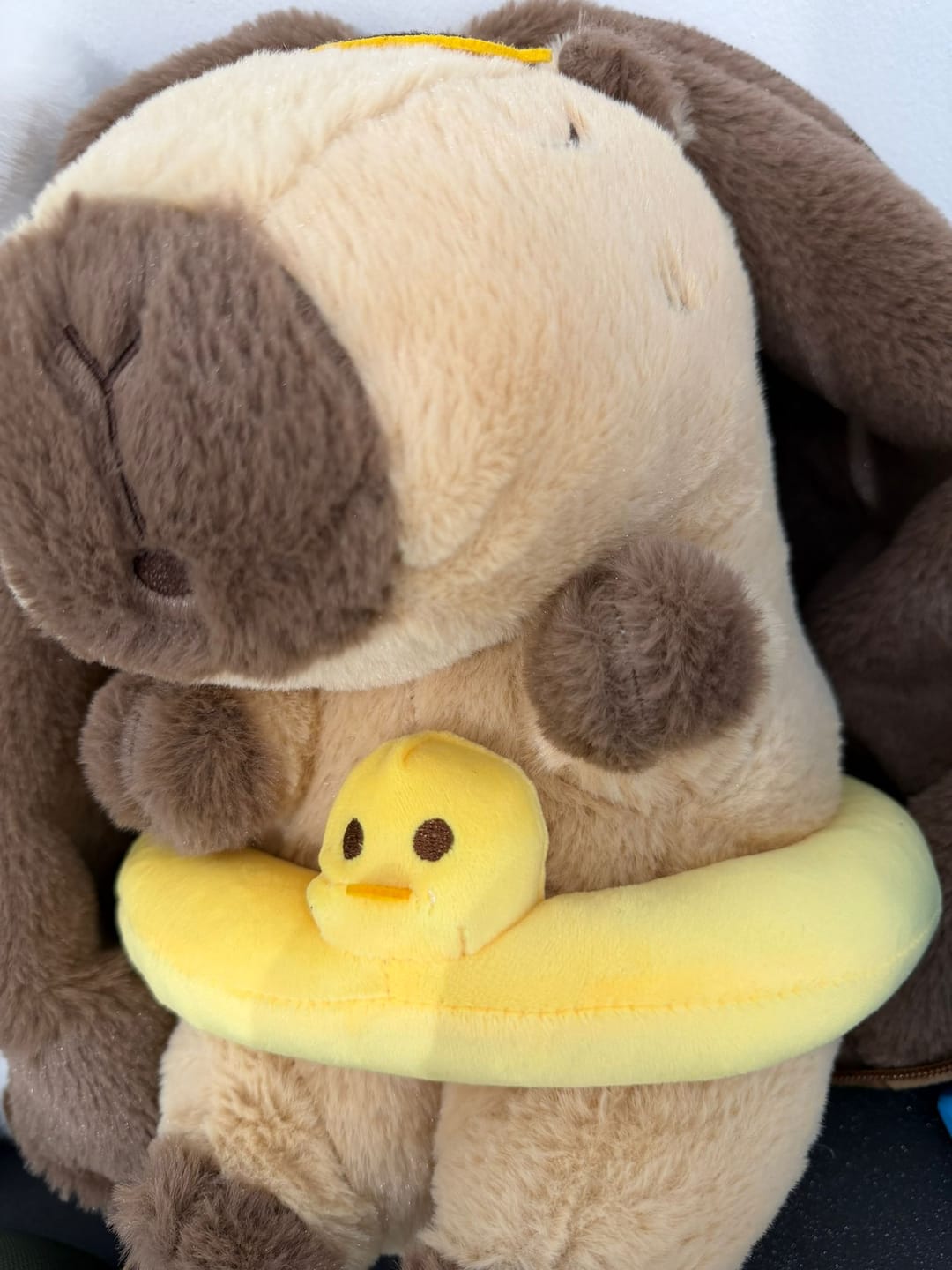 Customer photo review of Capibara Ademend Knuffeltje